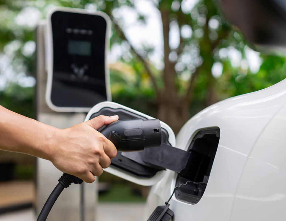 Embracing Sustainable Travel